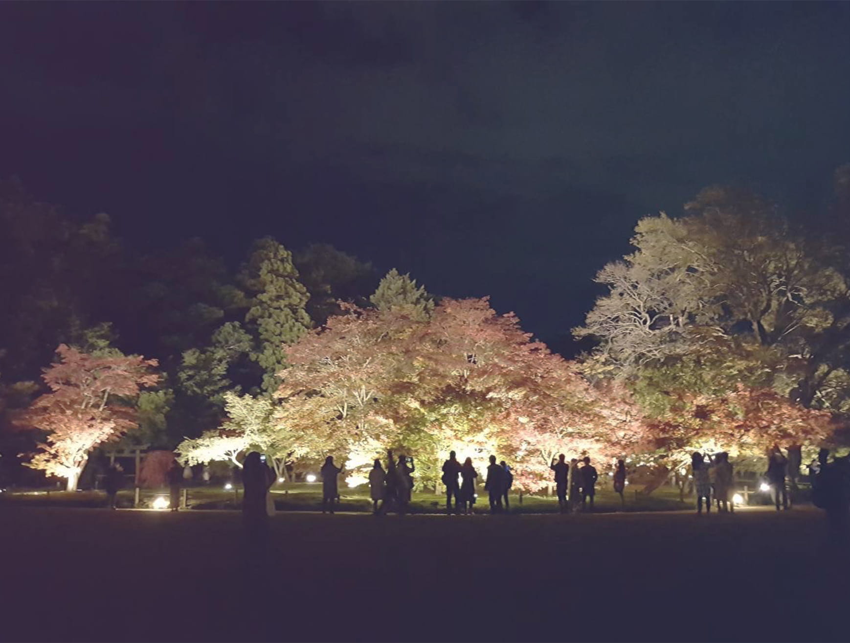 ライトアップ